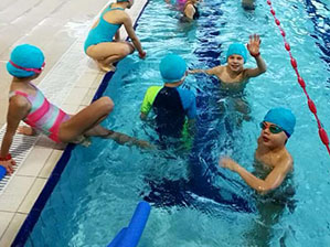 Shark Team